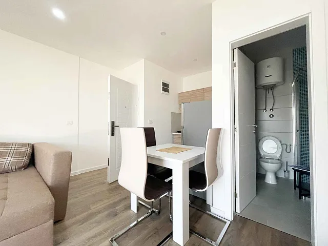 House with 5 separate apartments in Becici with sea view